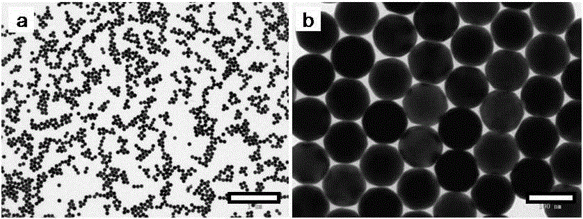 Monocrystal gold nano balls and preparation method thereof