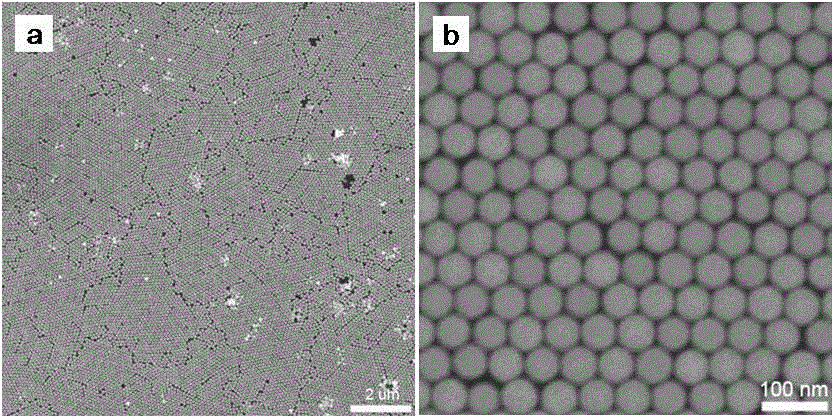 Monocrystal gold nano balls and preparation method thereof