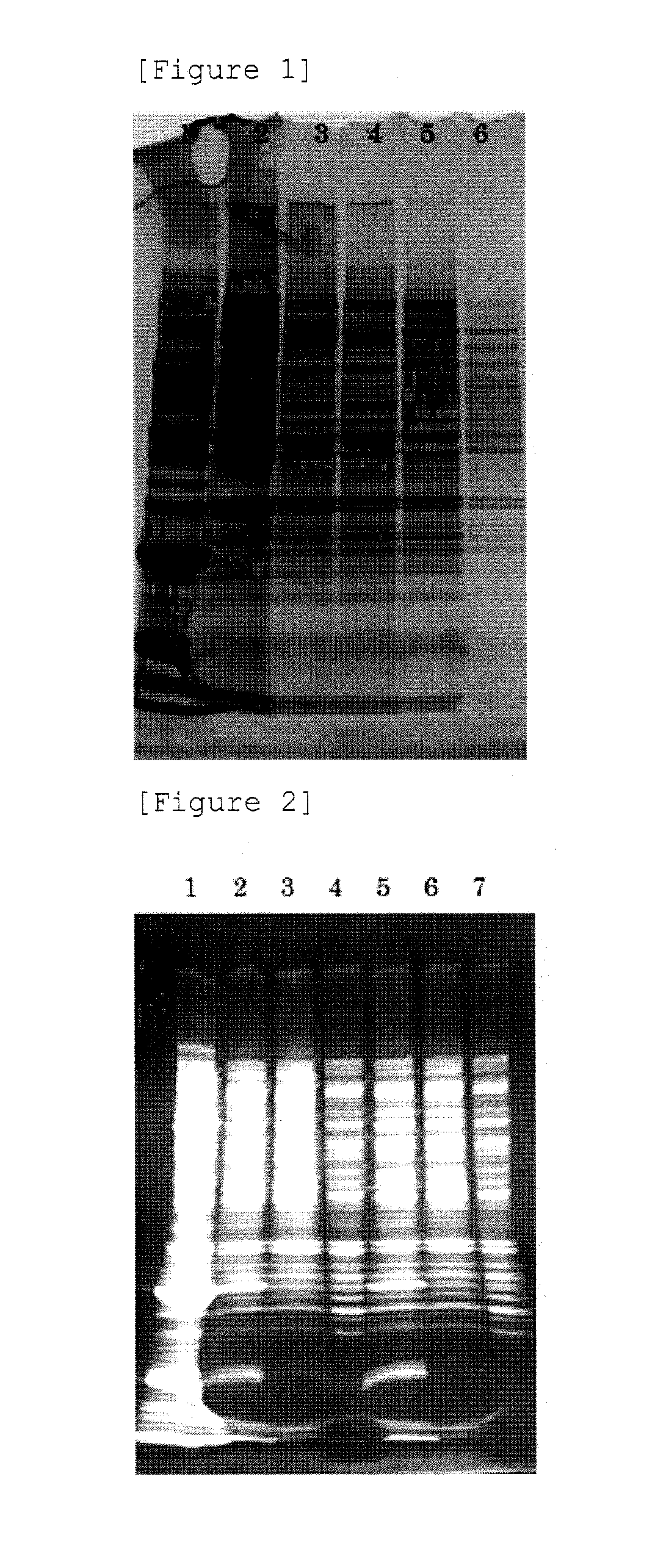 Production method for non-enveloped virus particles