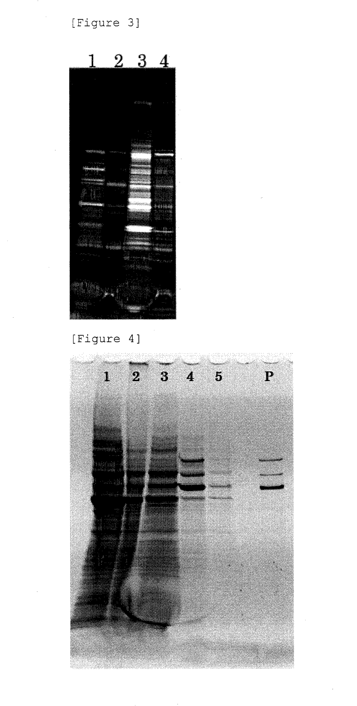 Production method for non-enveloped virus particles