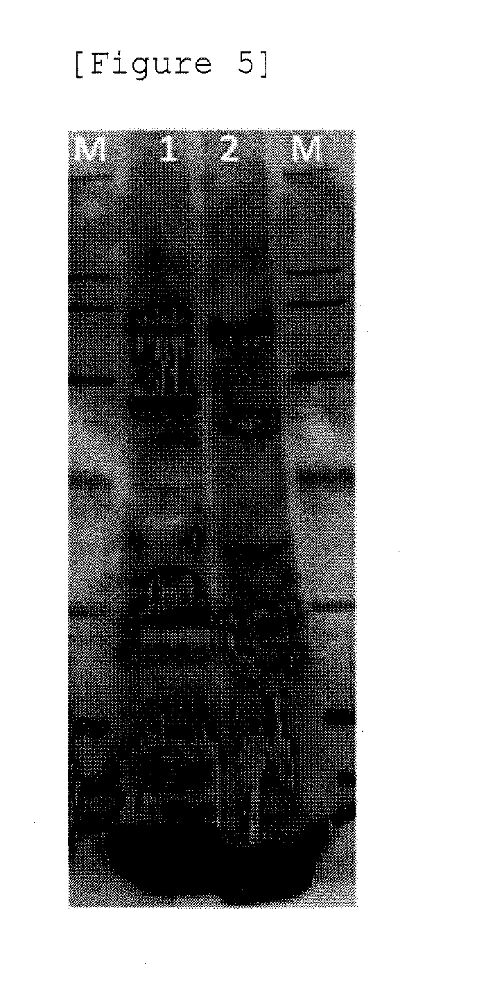 Production method for non-enveloped virus particles