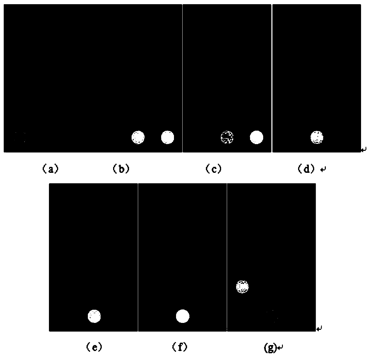 Olfactory sensing detection method for flour storage quality