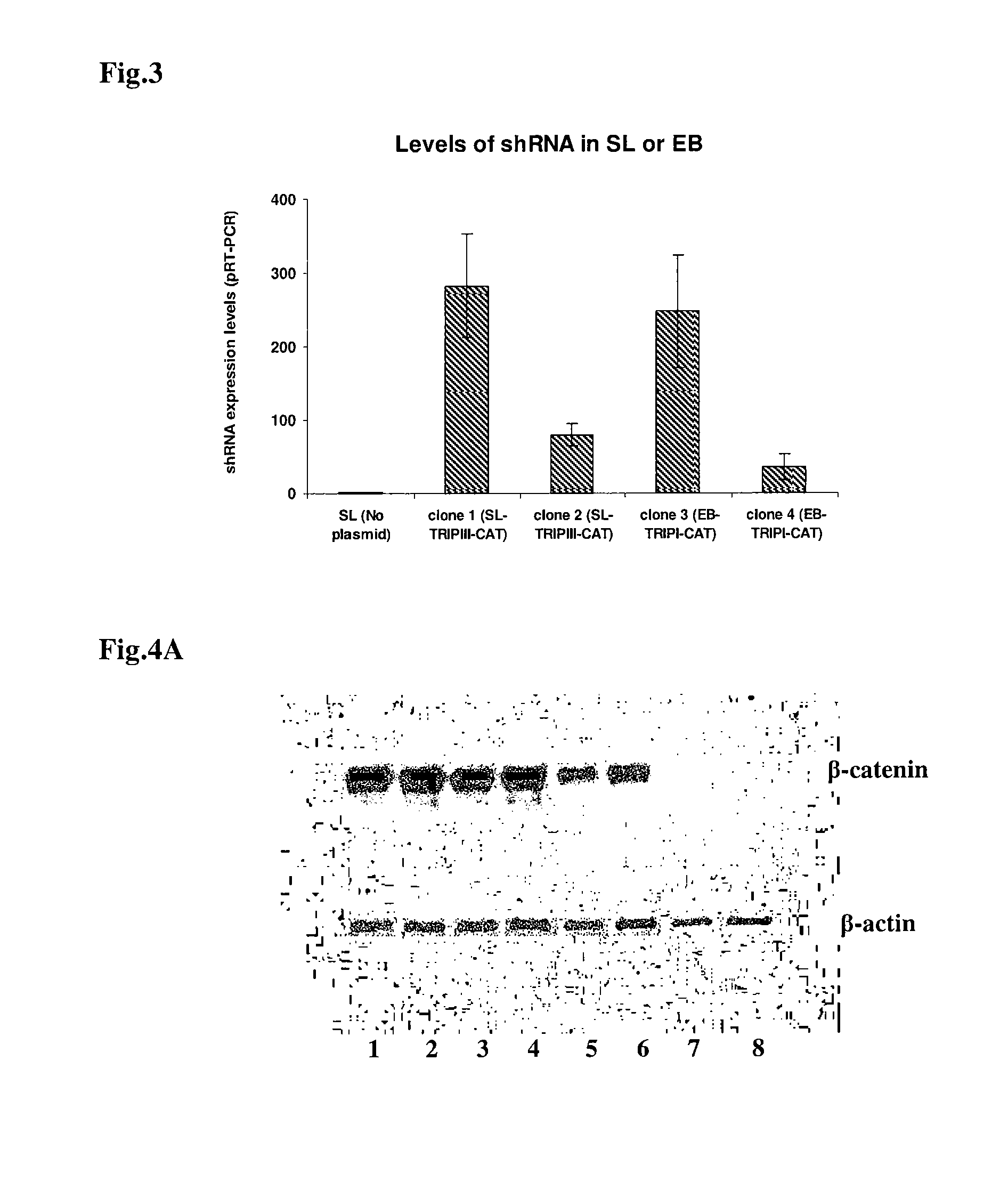 Compositions for bacterial mediated gene silencing and methods of using the same