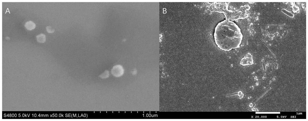 Preparation method of polydiacetylene vesicle with excellent performance