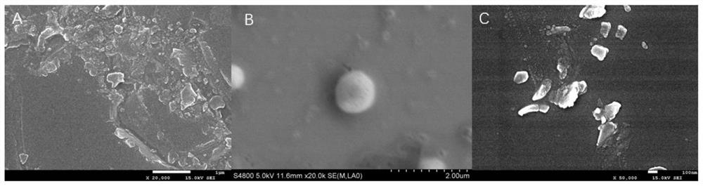 Preparation method of polydiacetylene vesicle with excellent performance