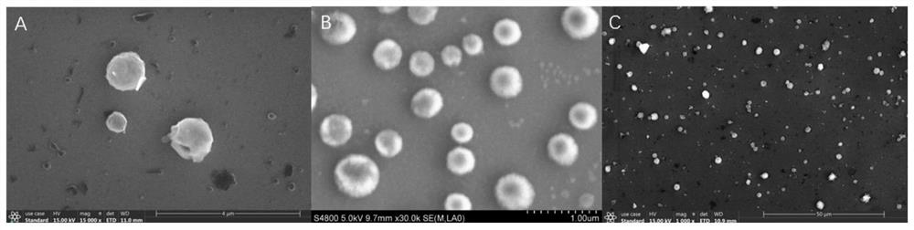 Preparation method of polydiacetylene vesicle with excellent performance