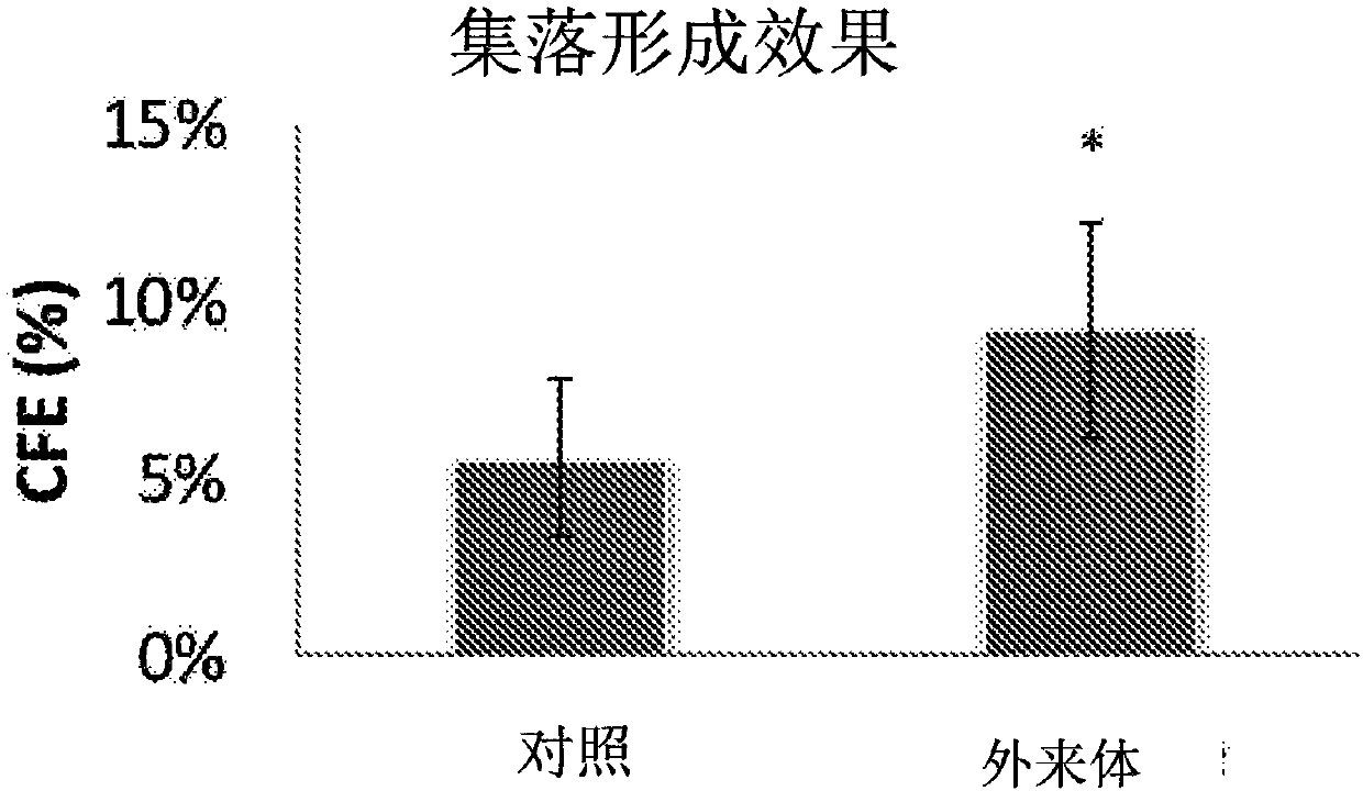 Mesenchymal stem cell-derived exosome