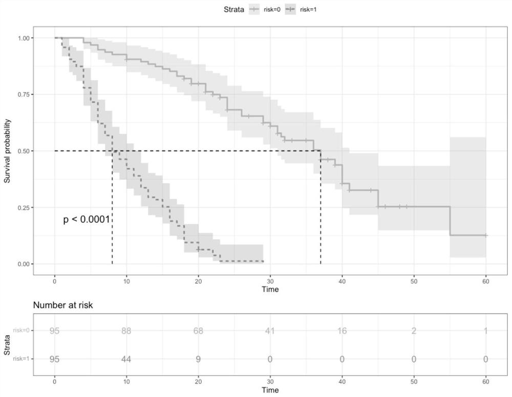 Method and system for detecting postoperative prognosis data of pancreatic cancer patient