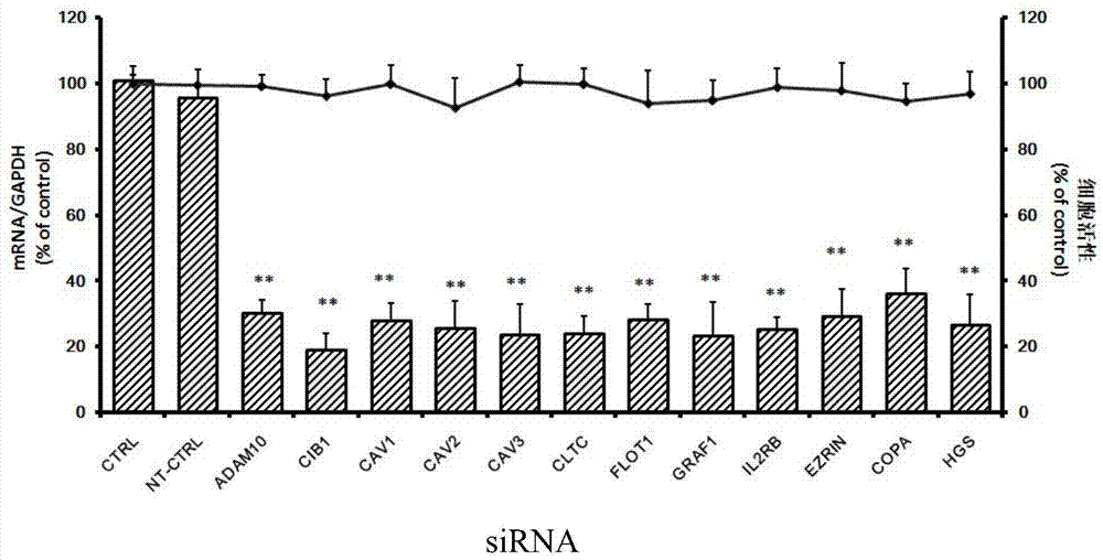 Applications of calcium-and inte-grin-binding protein 1 in preventing and treating enterovirus 71 infection