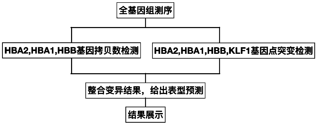 Method and device for detecting thalassemia gene variation