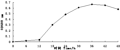 Method for improving festuca arundinacea drought resistance by adopting dried sludge fungicide