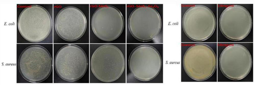 Preparation method and application of ternary composite nano antibacterial film material of rGO-MoS2-Fe2O3