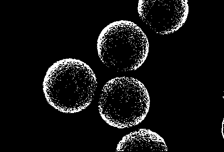 Preparation method of silicon dioxide@porous polymer core-shell microspheres with macroporous structure