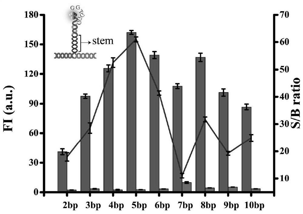 Probe and fluorescence sensor for quantitatively detecting hepatitis B virus DNA and method