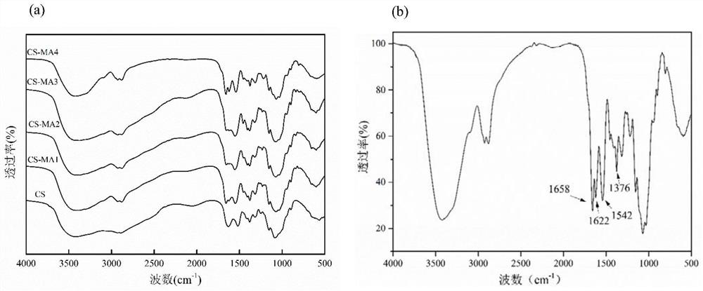 Preparation method of photo-crosslinked chitosan-methacrylic acid nanoparticles