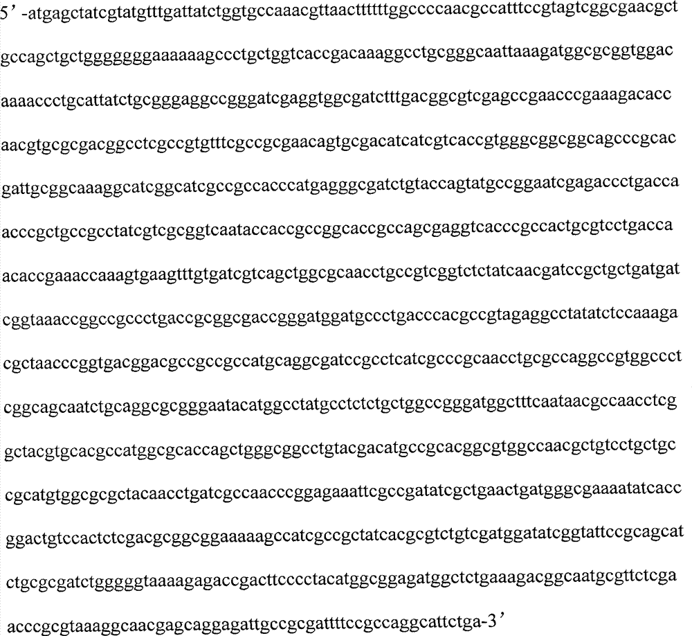 Recombined bacterial strain for modifying specificity of 1,3-propanediol redoxase coenzyme and application thereof