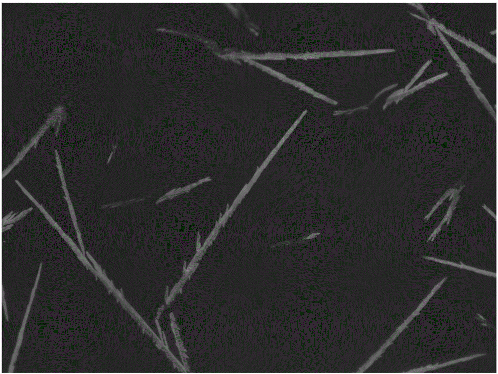 Method for preparing mesoscopic scale line-shaped organic crystal