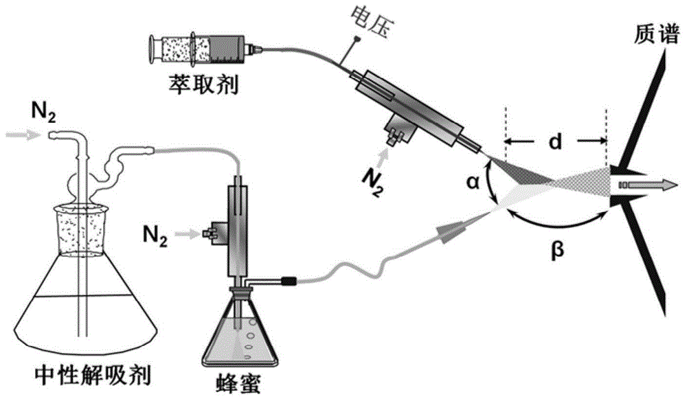 Method for rapidly detecting chlorpyrifos in honey by using neutral desorption-extractive electrospray ionization mass spectrometry