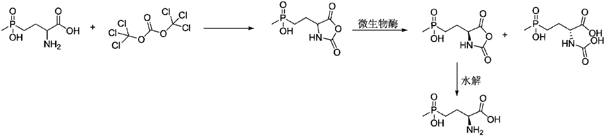 L-glufosinate ammonium preparation method