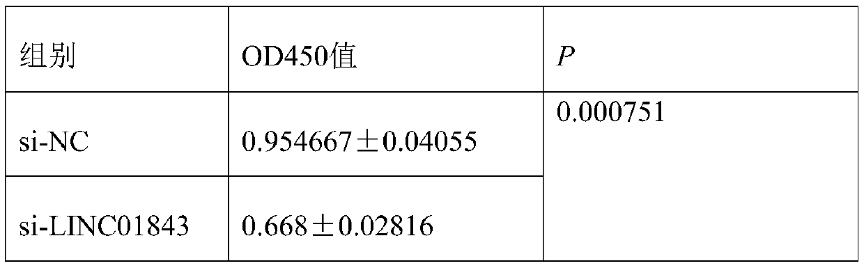 Application of LINC01843 as liver cancer diagnosis and treatment marker