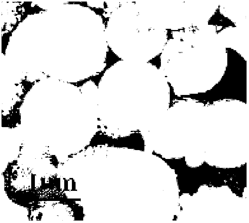 Preparation method of carbon-aerogel-based spherical anticorrosion magnetic material