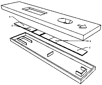 Immunity test strip based on fluorescent microsphere for detecting infectious pleural pneumonia antibody of goat as well as preparation and detection method