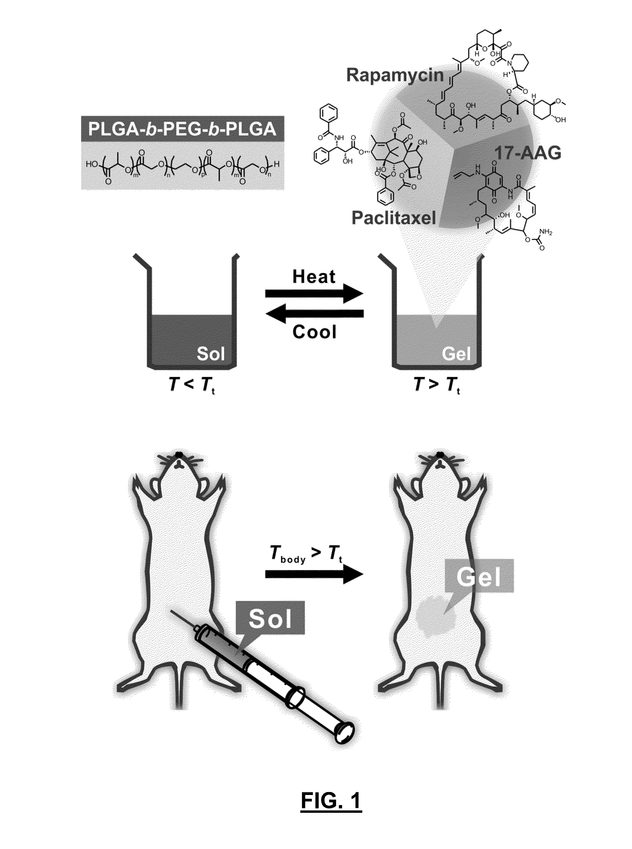 Thermogel formulation for combination drug delivery