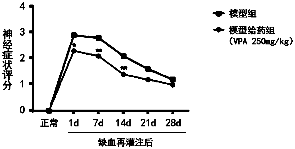 Application of sodium valproate to preparation of medicine for restraining formation of glial scars and medical composition for restraining formation of glial scars