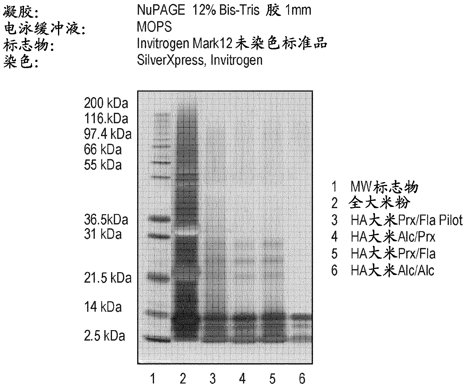 Use of a hypoallergenic cereal composition for inducing specific oral tolerance