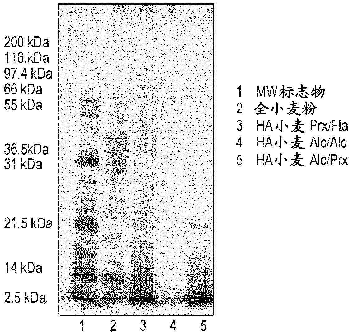 Use of a hypoallergenic cereal composition for inducing specific oral tolerance