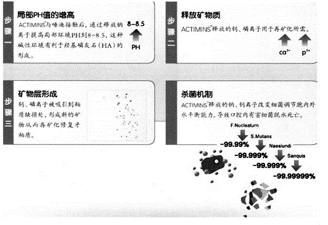 Preparation method of bone repair toothpaste agent inducing gene expression