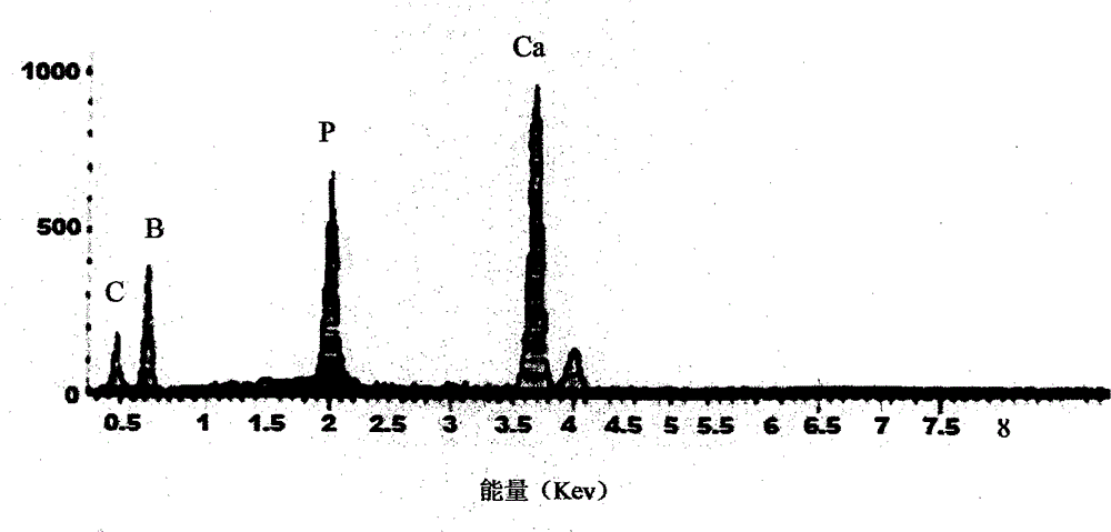 Preparation method of bone repair toothpaste agent inducing gene expression