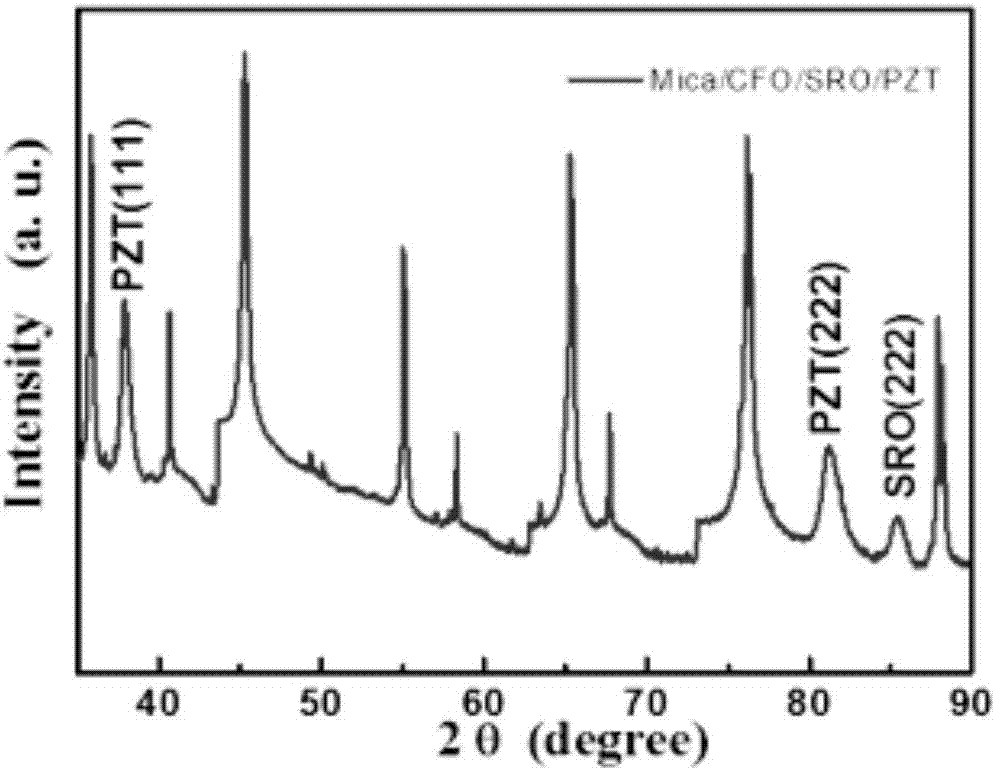 Preparation method of flexible epitaxial ferroelectric film