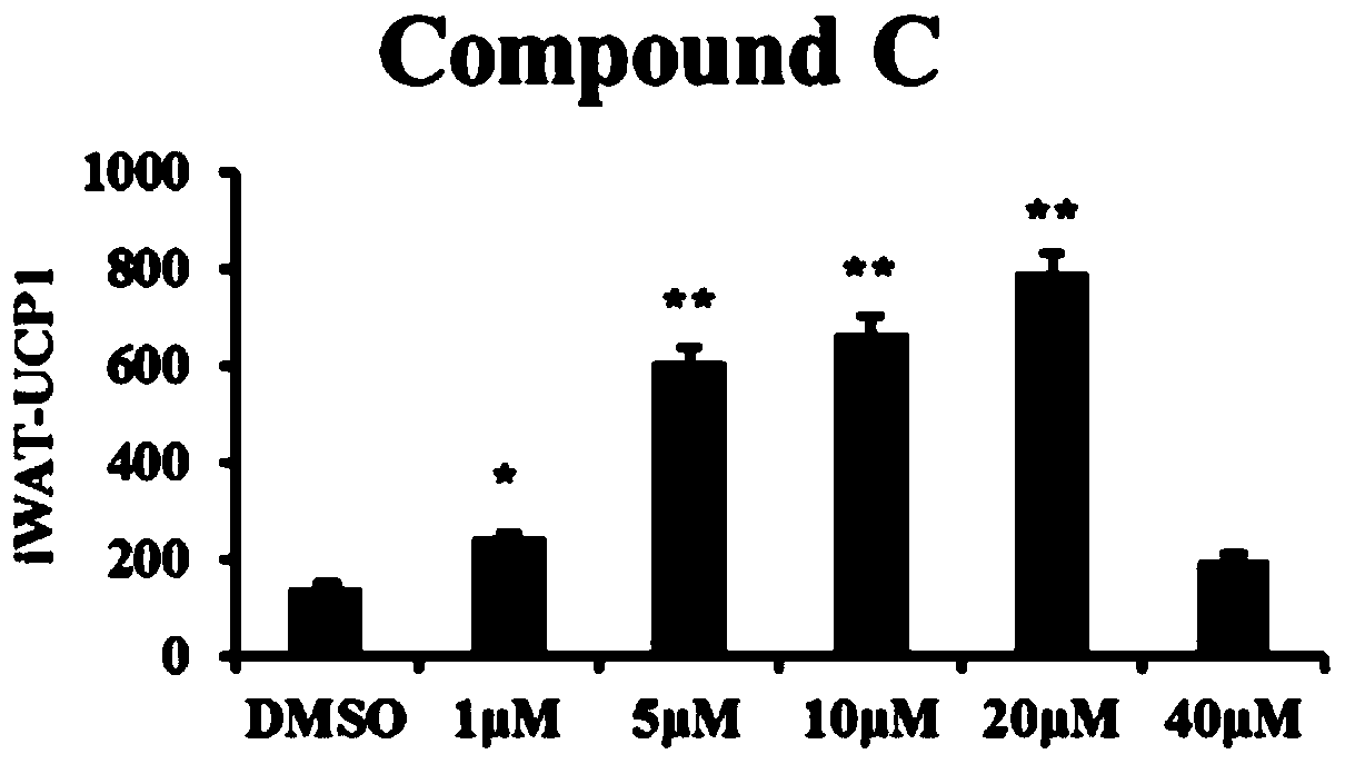 New application of compound Compound C