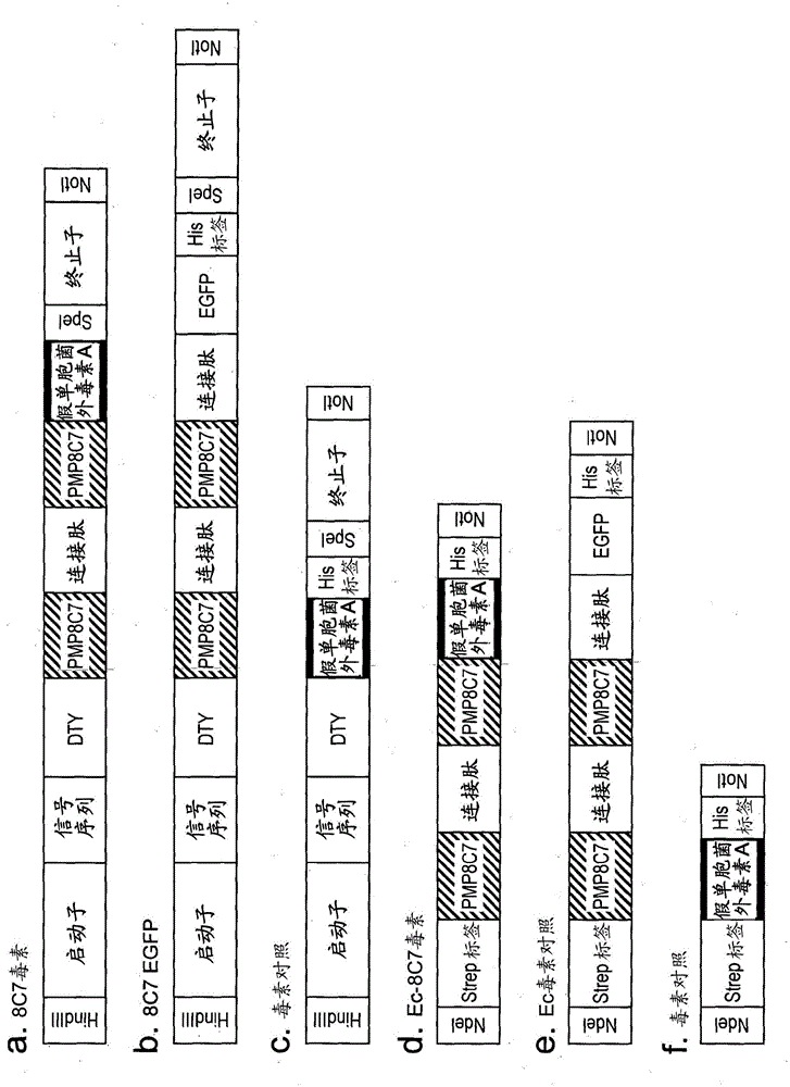 Anti-tumour agent, marker for tumour detection, and oral vaccine agent