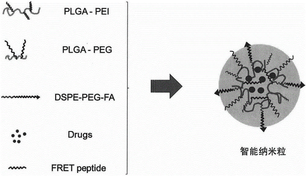 Intelligent nanoparticle capable of specifically accelerating tumor cell apoptosis and monitoring curative effect by itself