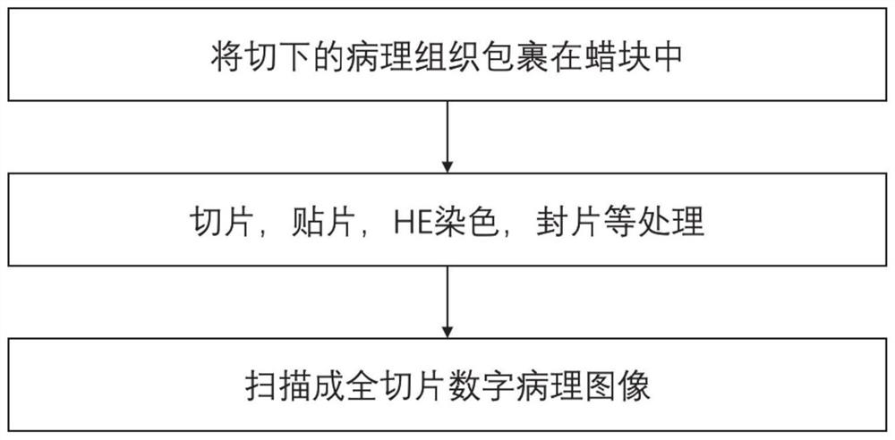 Automatic analysis system and method for full-slice digital pathological image