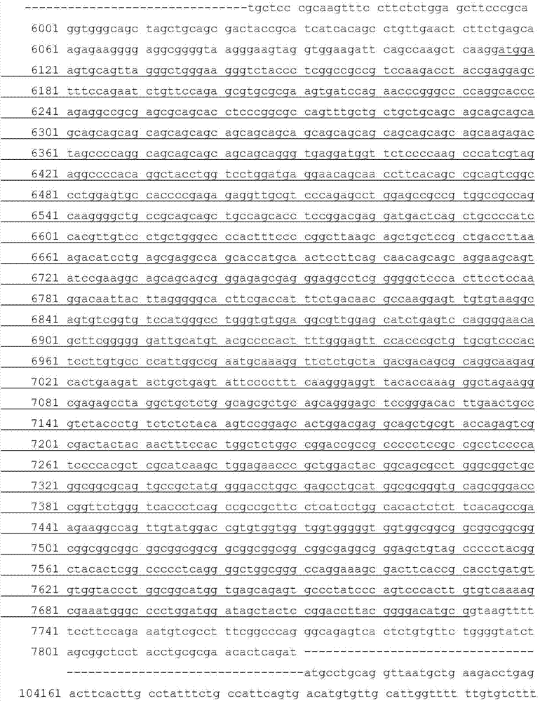 TALEN and pMD18 vector-based site-directed mutagenesis system and its application