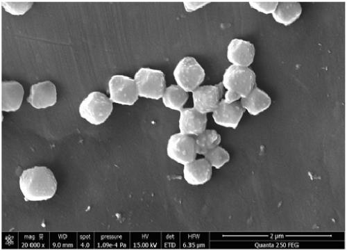 Adsorption film based on metal organic framework material, preparation method and application