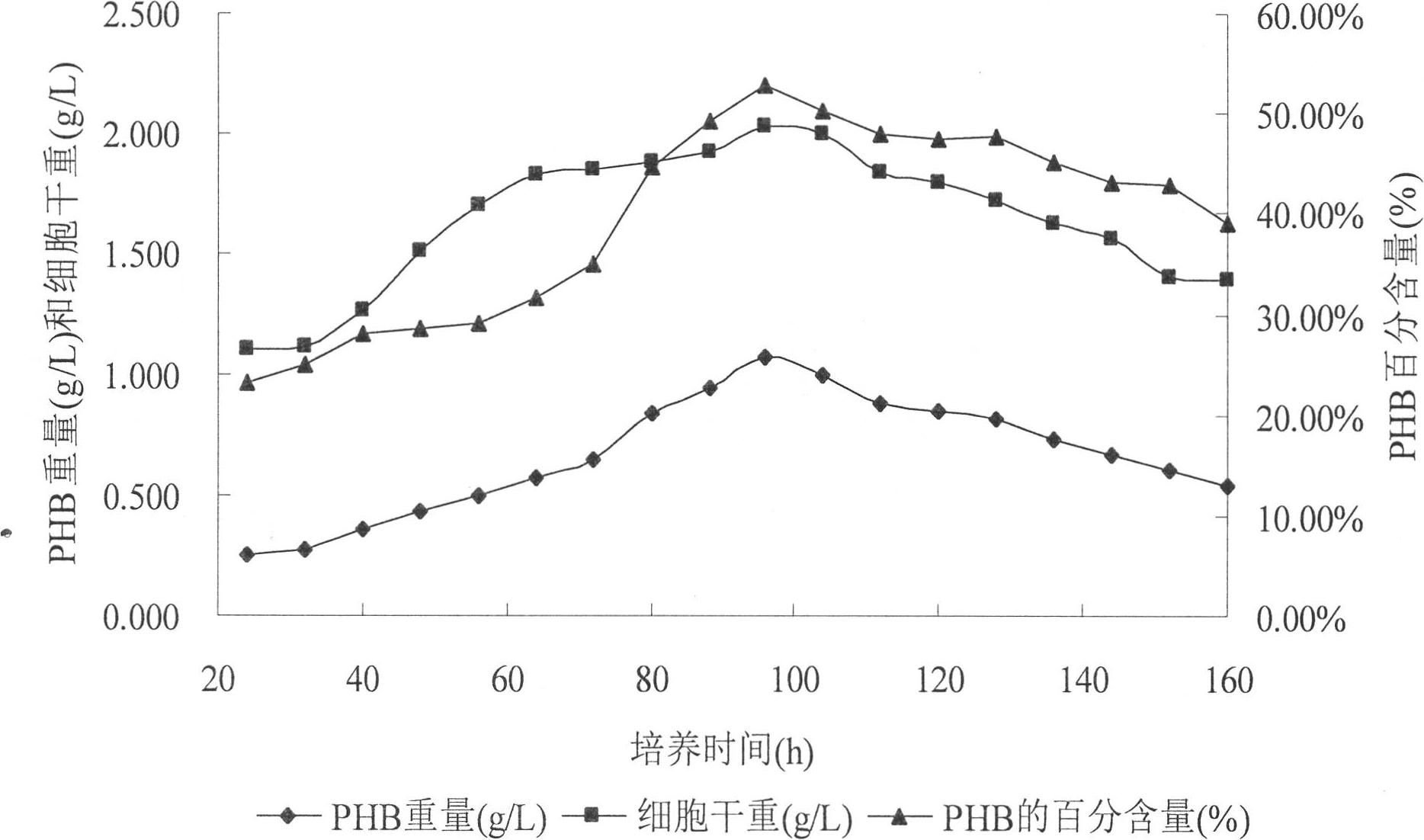 Bacillus megaterium Bm-10 strain for highly producing poly-beta-hydroxybutyrate as well as screening method and application thereof