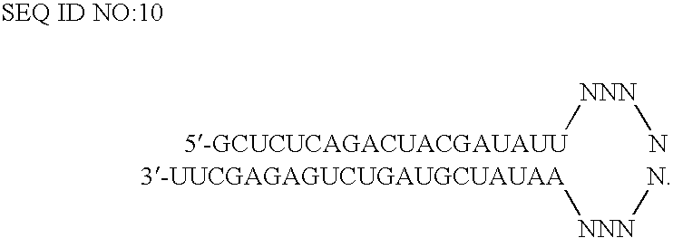 RNAi-RELATED INHIBITION OF TNFa SIGNALING PATHWAY FOR TREATMENT OF OCULAR ANGIOGENESIS