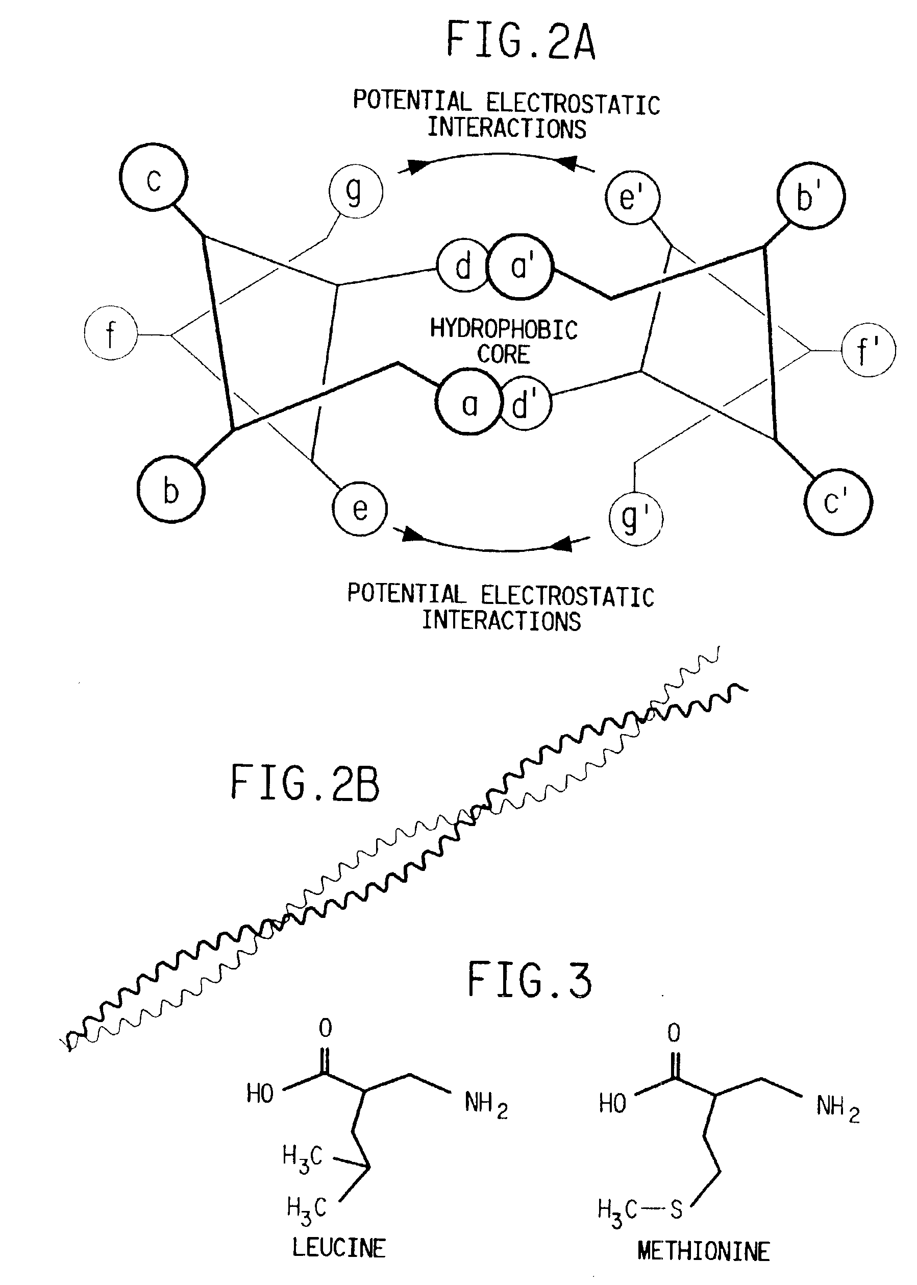 Chimeric genes and methods for increasing the lysine and threonine content of the seeds of plants