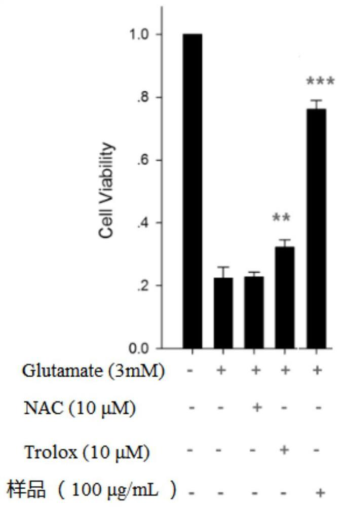 Application and medicine of Xiaohua Shiwancuo in the preparation of medicines for preventing and/or treating neurodegenerative diseases