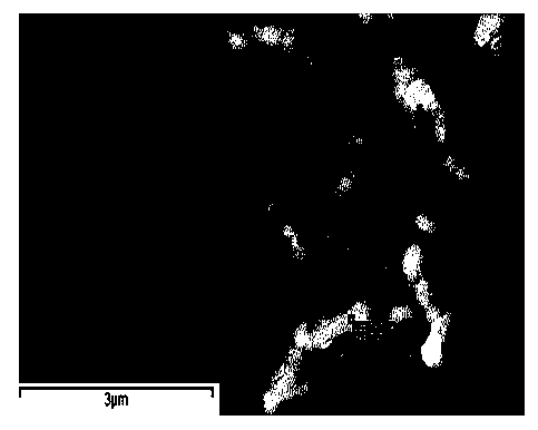 Method for manufacturing single walled carbon nanotube surface nickel copper coating