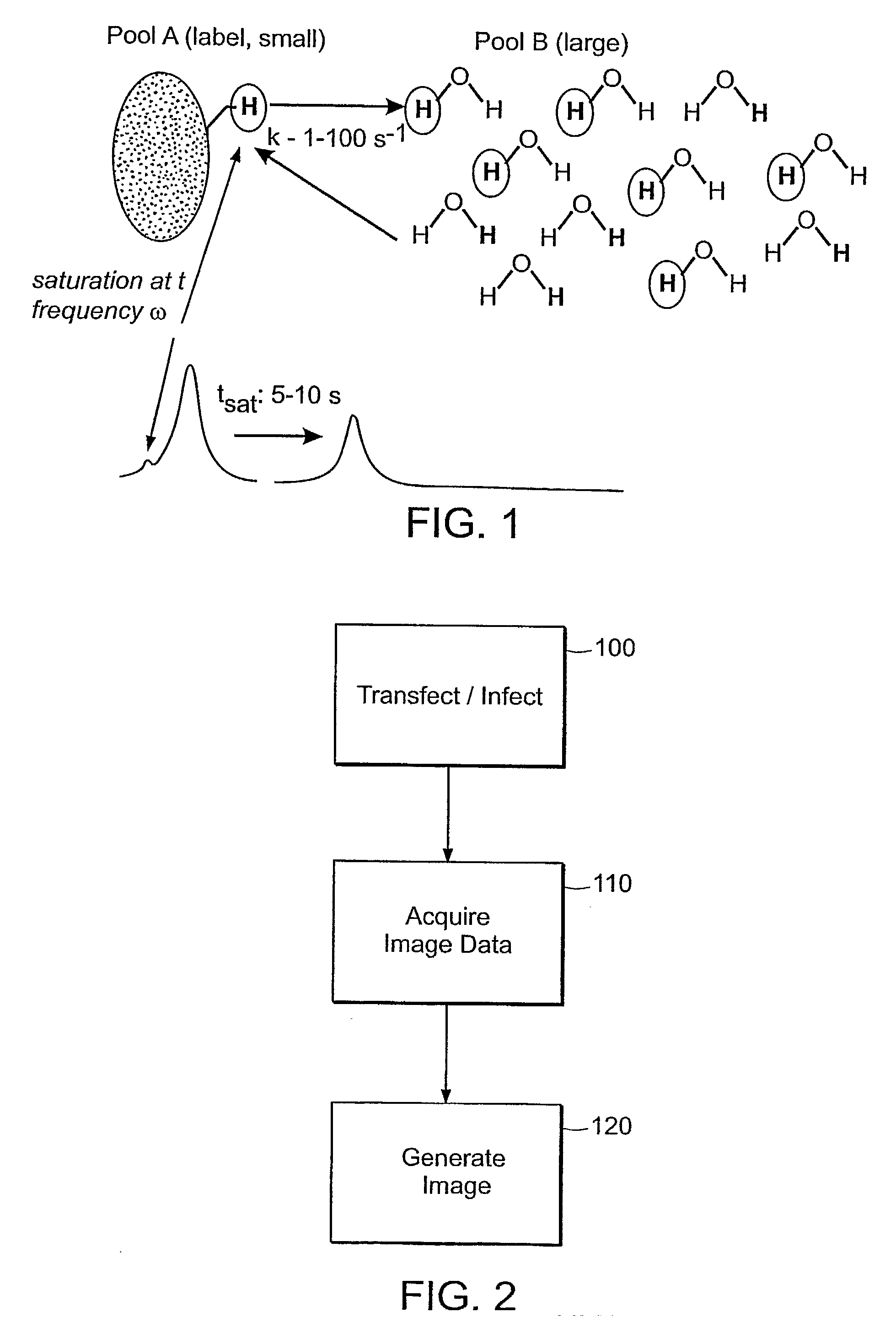 Chemical Exchange Saturation Transfer Based Mri Using Reporter Genes and Mri Methods Related Thereto