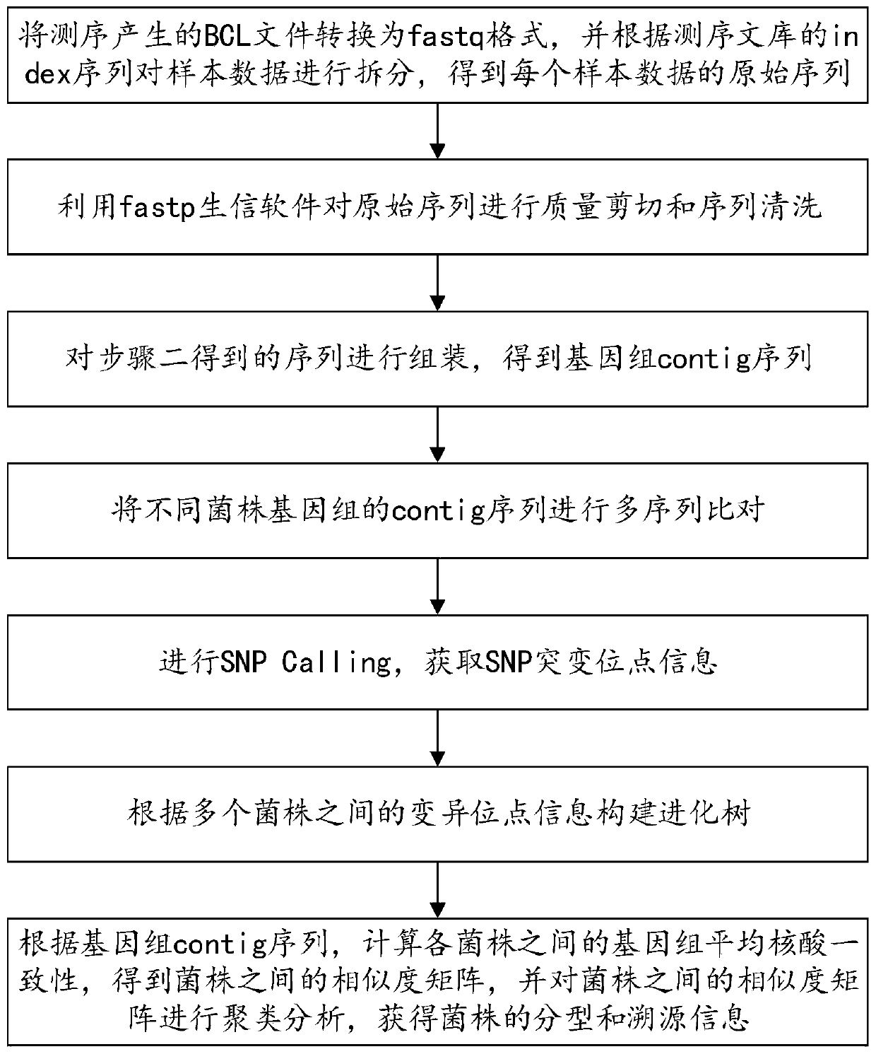 Microbial identification and analysis system and device based on next-generation high-throughput sequencing