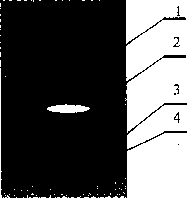 Double-view field star sensor and method for identifying star atlas using the same