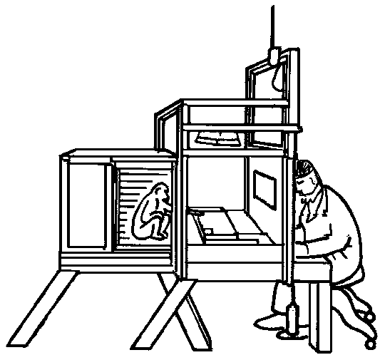 Touch screen multifunctional non-human primate cognitive function test cage