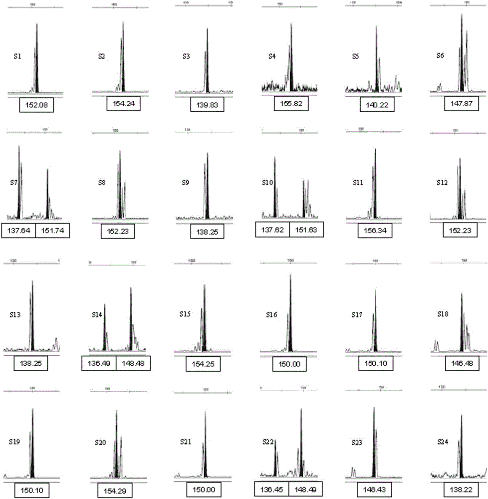 Litopenaeus vannamei osmotic regulation related functional gene EST-SSR markers and specific primers and detection method thereof