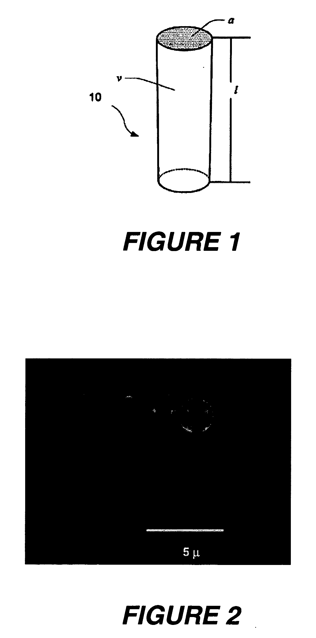 Polymersome compositions and associated methods of use